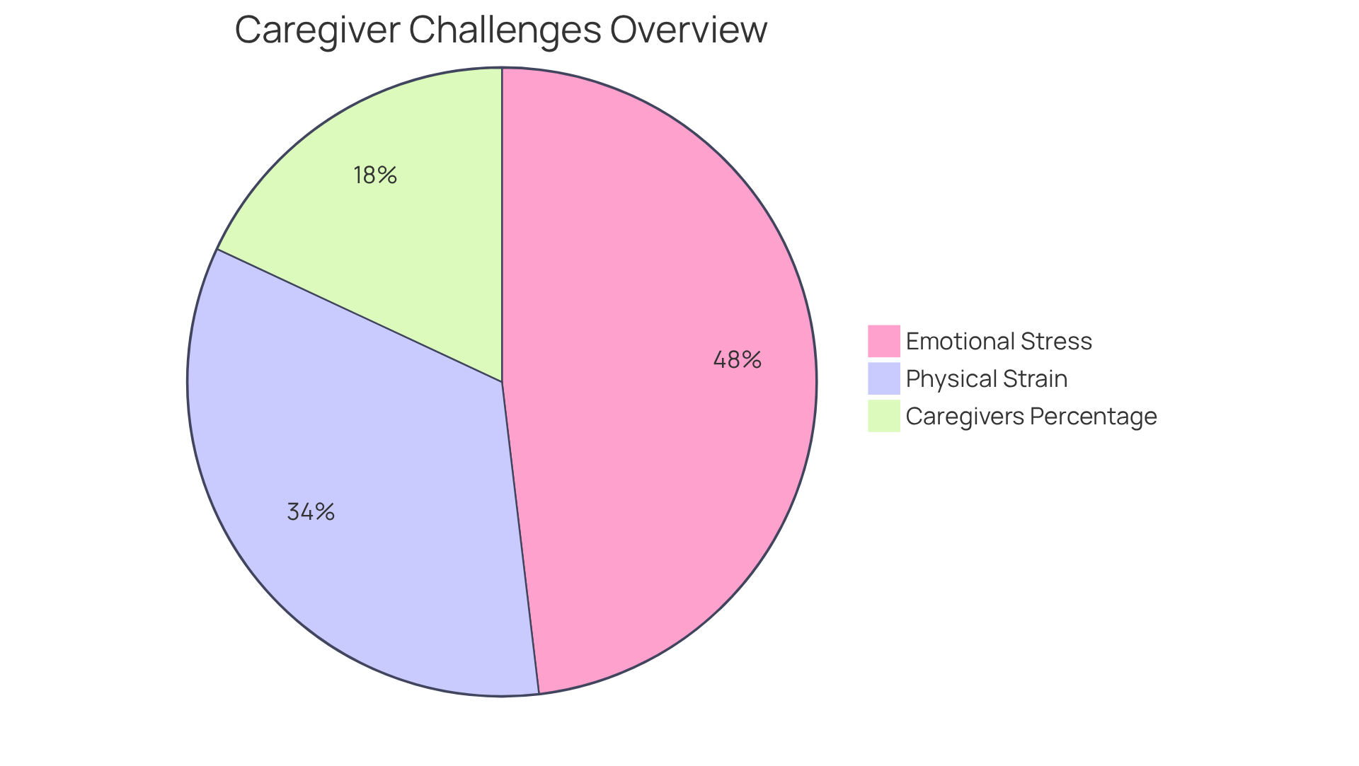 Each slice of the pie represents a different statistic about caregivers. The larger the slice, the more caregivers are affected by that issue. For example, the biggest slice shows that many caregivers experience high emotional stress.
