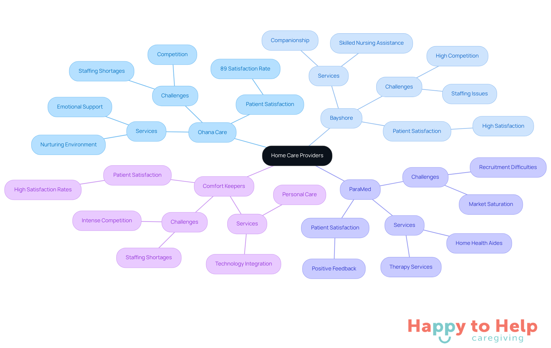 The central node represents the home care sector, while each branch shows a different provider. Sub-branches highlight their services and challenges, helping families understand their options.