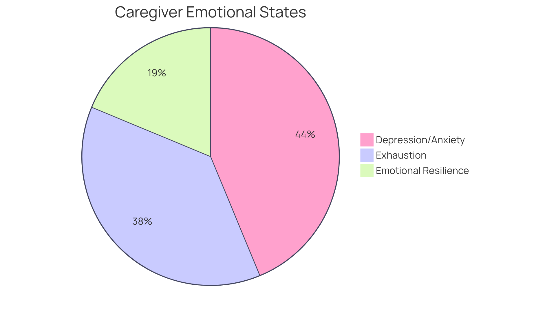 Each slice represents a different emotional state among caregivers. The larger the slice, the more caregivers are affected by that issue. This chart highlights the importance of taking breaks to improve emotional health.