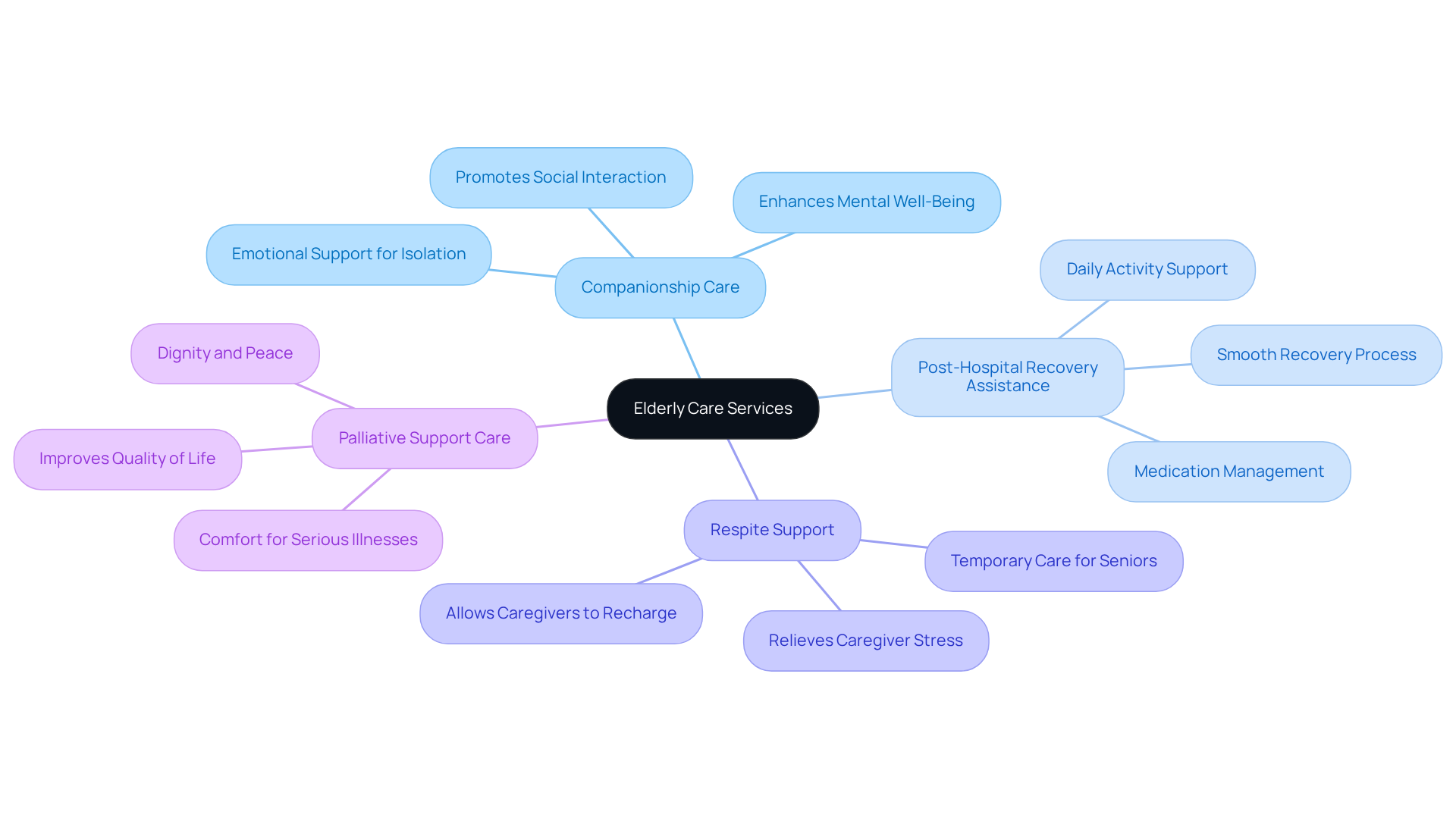 The central node represents the main topic of elderly care. Each branch shows a different type of service available, with descriptions of how they help seniors and their caregivers.