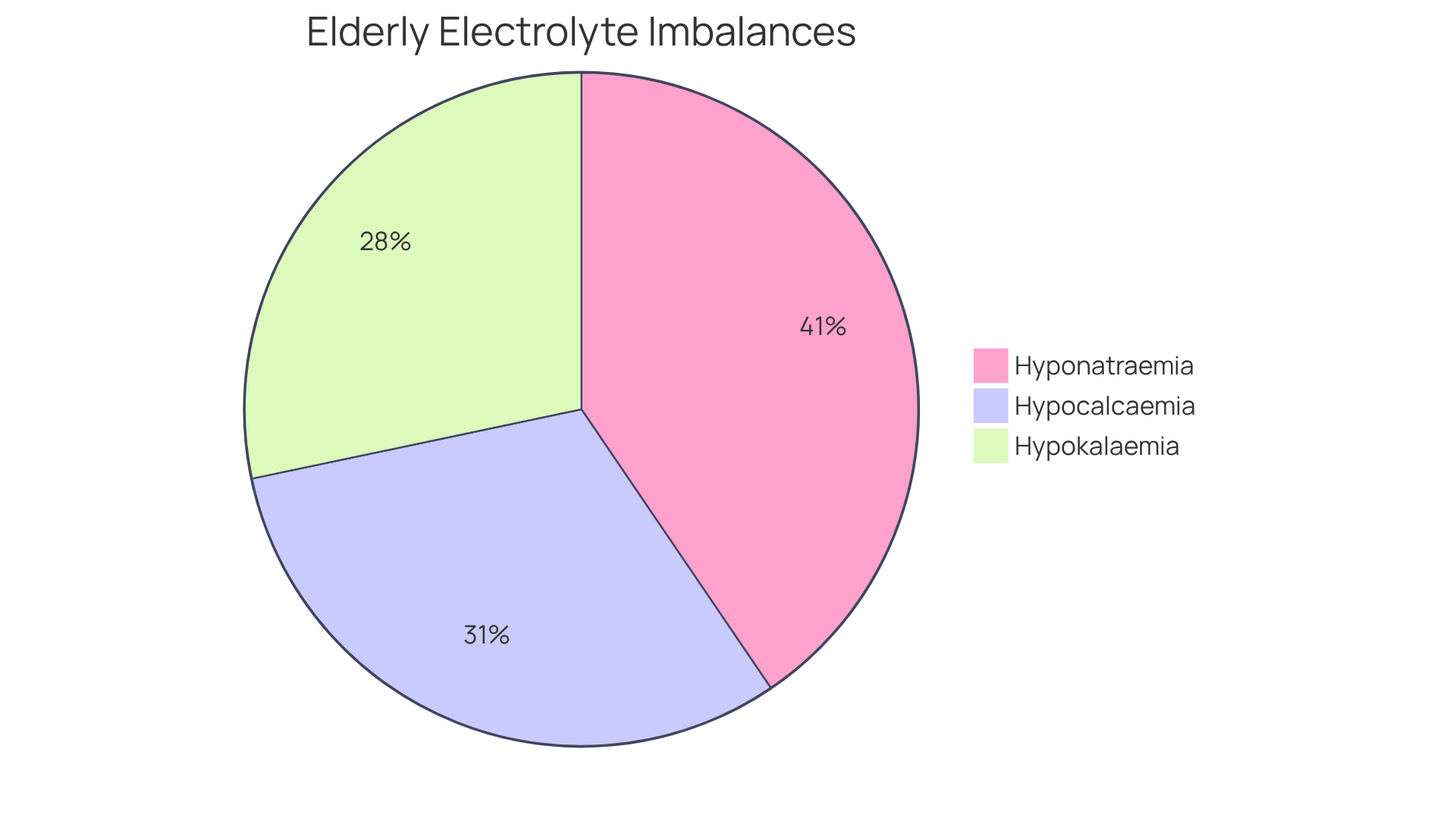 Each slice of the pie chart shows how many elderly patients experience a particular type of electrolyte imbalance — the larger the slice, the more common that imbalance is among seniors.