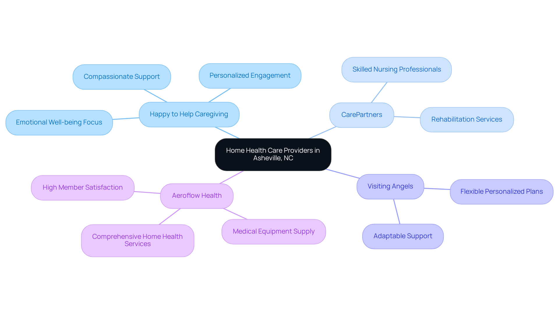 The central node represents the overall topic, while each branch highlights a specific provider. Sub-branches detail what makes each provider unique, helping families understand their options for home health care.